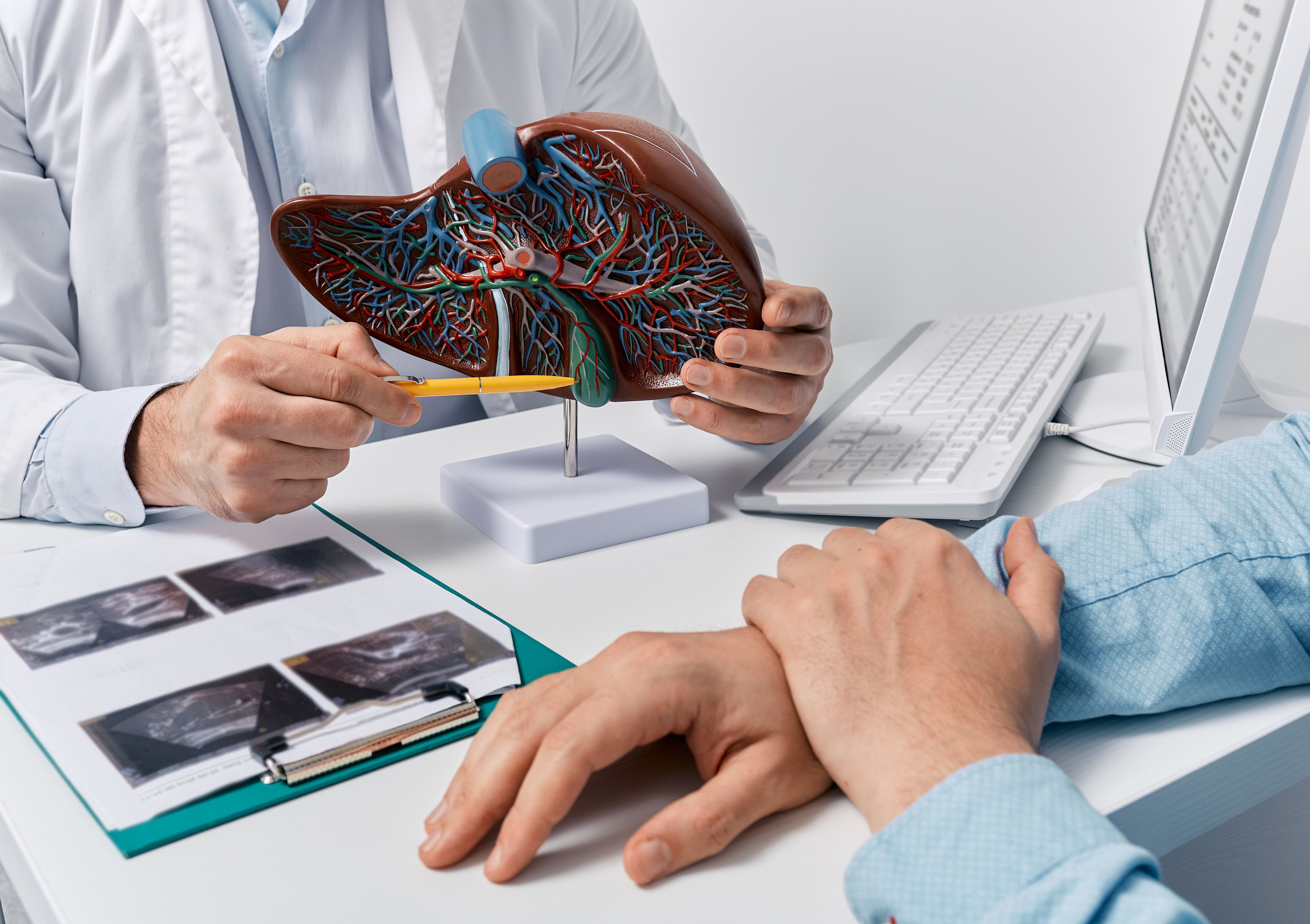 The thinking around which patients are eligible for liver transplants needs to evolve, the authors noted, as the criteria used to evaluate fitness for transplant were proposed nearly three decades ago. | Image credit: Peakstock - stock.adobe.com