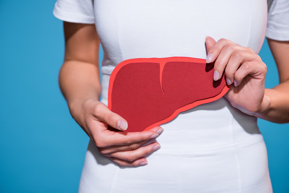 Woman holding a representation of a liver | Image credit: LIGHTFIELD STUDIOS - stock.adobe.com