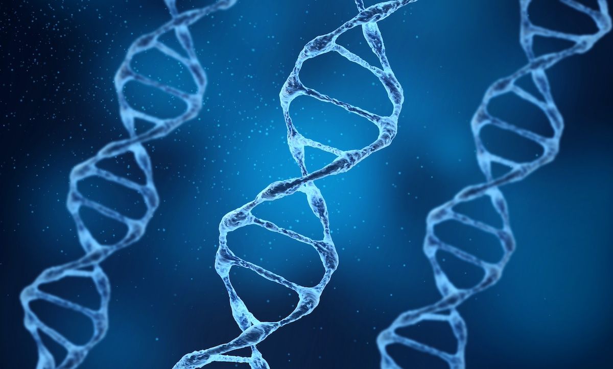 While patients should be closely monitored in the first 90 days post-treatment, delandistrogene moxeparvovec showed a manageable, consistent safety profile in a broad population of patients. | Image Credit: Hypnosis - stock.adobe.com