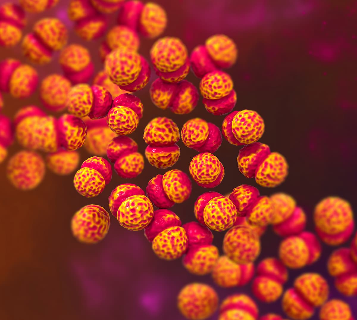Uptake of Pneumococcal Vaccine Low Both Before and After Hospitalization for IPD Among Hong Kong Cohort