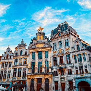 Panoramisch uitzicht op de Grote Markt in Brussel, met prachtige architectuur, waaronder sierlijke gildehuizen en het stadhuis.
