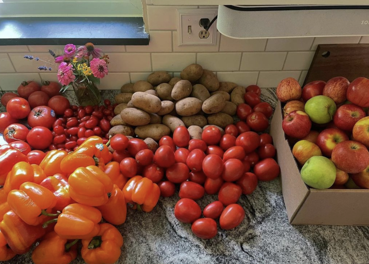 Groceries on a counter