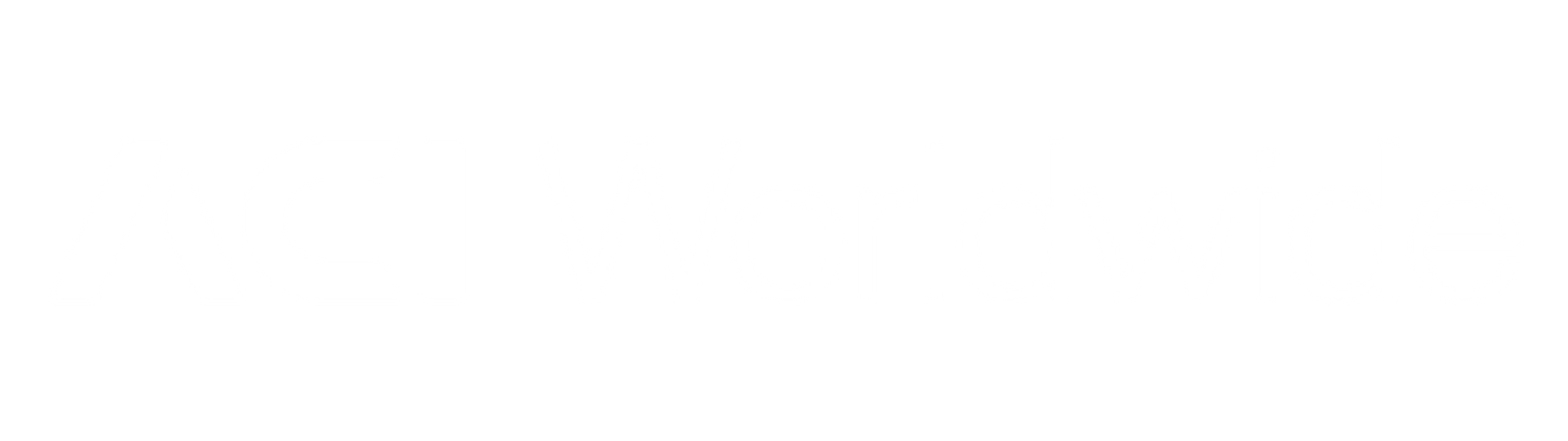 ACI Worldwide