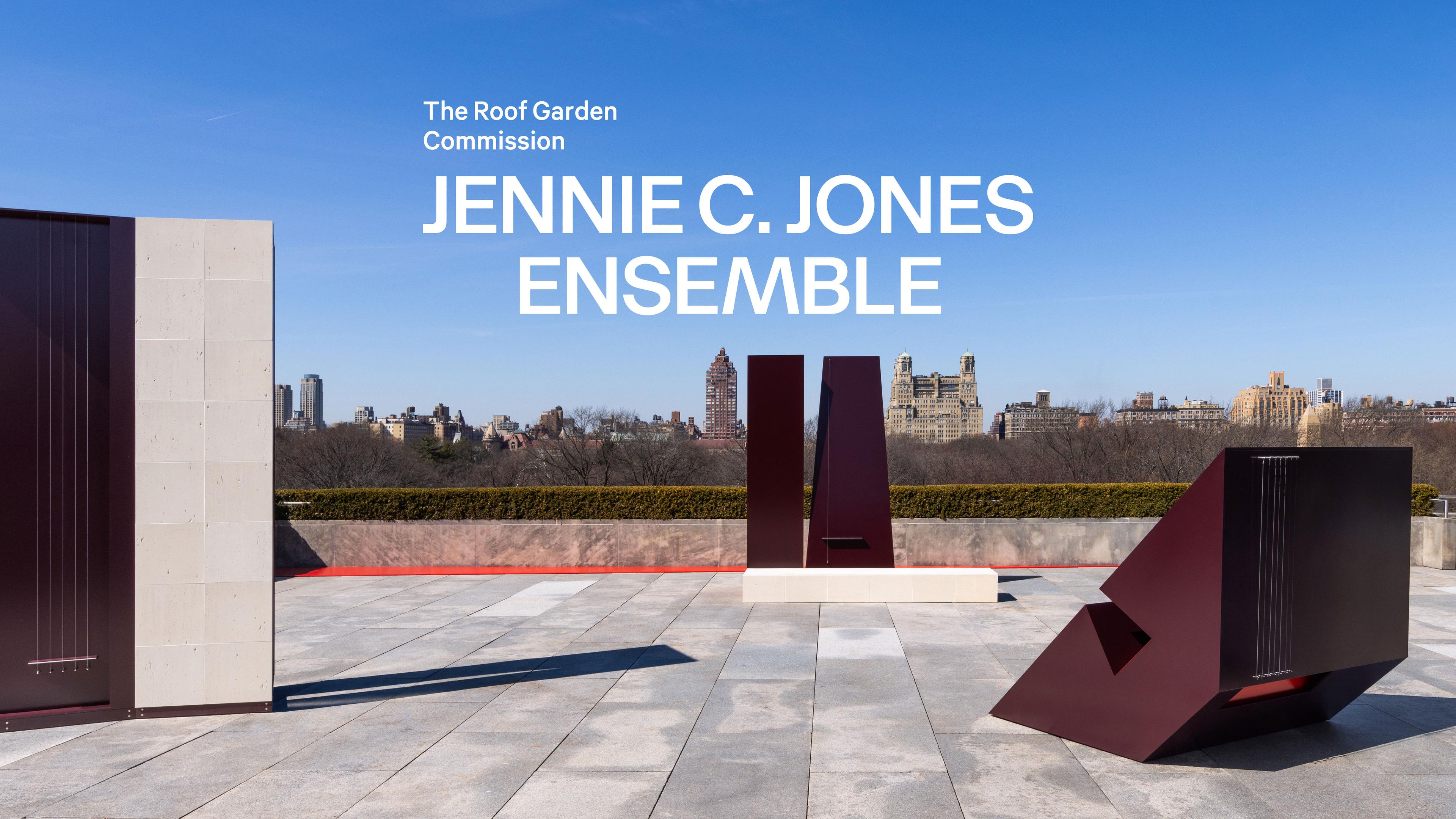Square Text box with a gray background. White bold text is in the top left corner that read The Roof Garden Commission following by pink text that reads Jennie C Jones