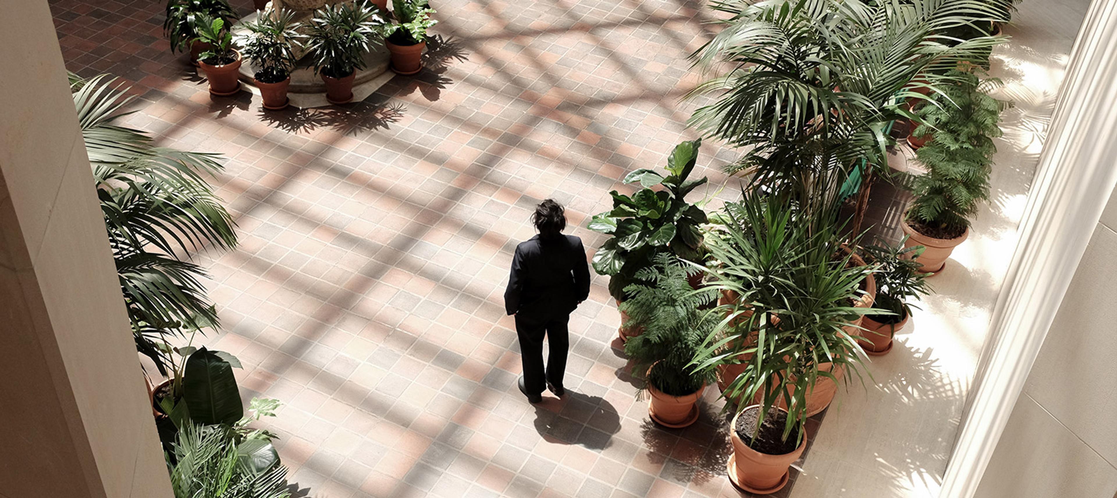 A person wearing black clothing stands surrounded by potted plants on a sunlit brick floor, with shadows creating a grid-like pattern.