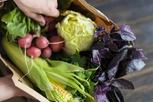 a person is holding a paper bag filled with vegetables .