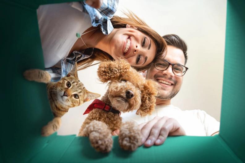 Too Good To Go lance son offre pour animaux de compagnie